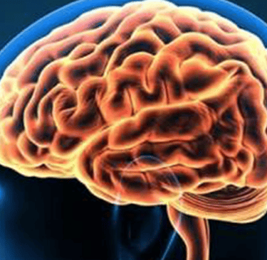 fasting stimulate nerve cell regeneration
