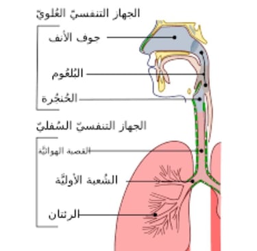 الحل الذهبى كرر بلا حساب