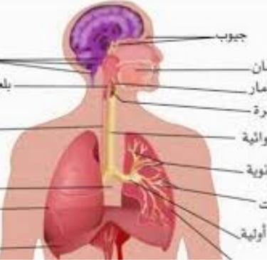 جرب ولن تندم ستبفى عادتك