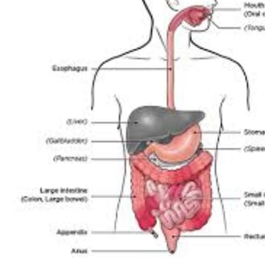 Botulism : A Serious but Preventable Disease