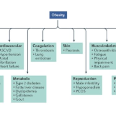 diseases and obesity