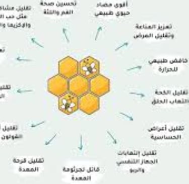 استخدامات وفوائد البروبوليس للبشر