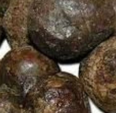 البروبوليس وفوائده