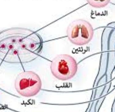 ماذا تعالج