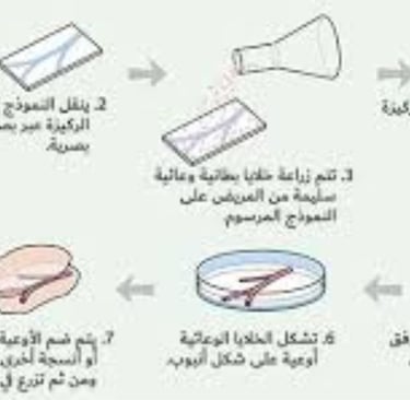 مراحل