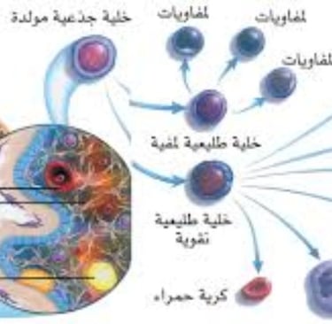 الخلابا