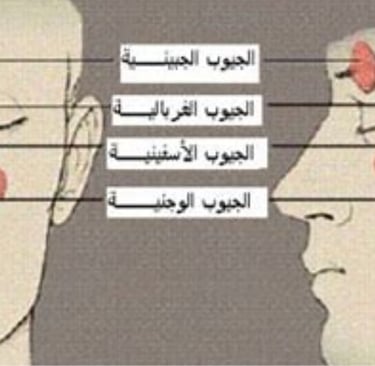 الجيوب الاربعة
