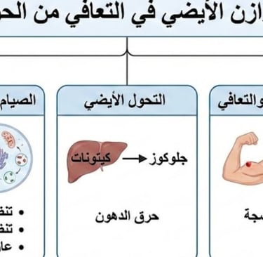 التوازن الأيضي في التعافي من الحروق | الصيام، الالتهام الذاتي والبناء الخلوي 🔥
