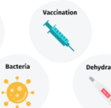 causes of fever
