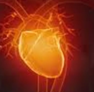 Voluntary Islamic Fasting for Arrhythmia