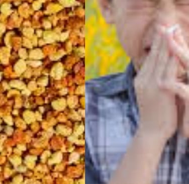 Health Advantages and Role in Weight Gain Bee pollen, abundant in vitamins, minerals, and amino ac