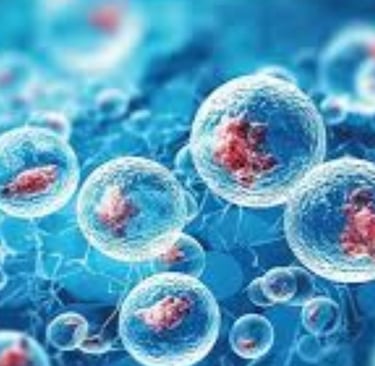 Retinitis Pigmentosa Fasting, Autophagy, Stem Cells, and Emerging Therapies