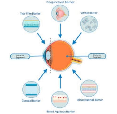 Retinitis Pigmentosa Fasting, Autophagy, Stem Cells, and Emerging Therapies
