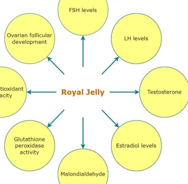 sexual health, bolstering immunity, and supporting fertility