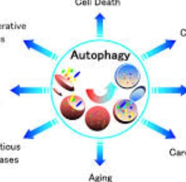 Explore how chronic illness and fasting affect sleep quality. Learn strategies to improve rest and m