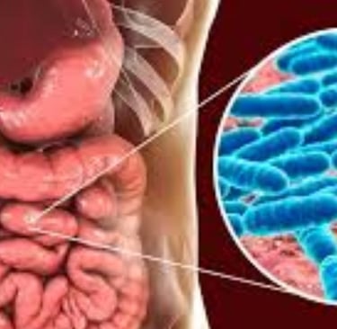 small intestinal fungal overgrowth treatment using fasting and honey