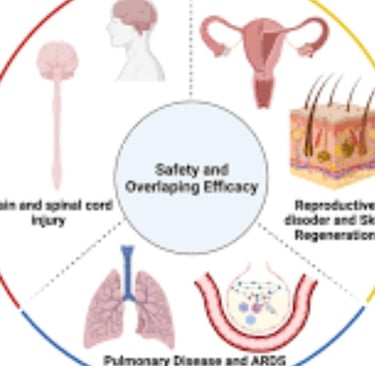 stem cell therapyy