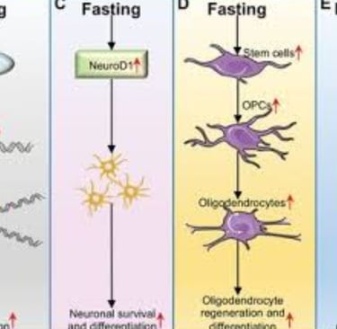 fasting