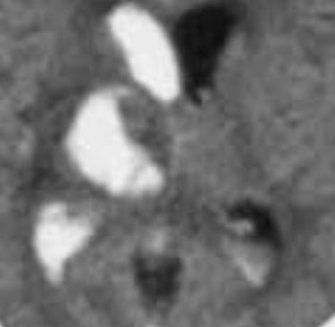 radiology