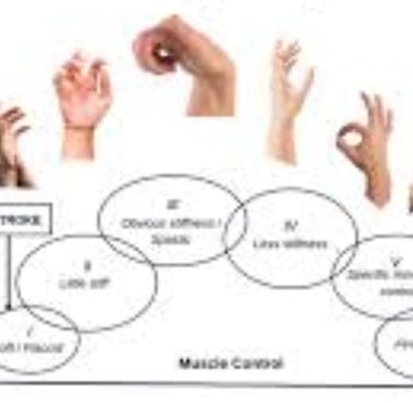 The 7 Stages Recovery and Rehabilitation