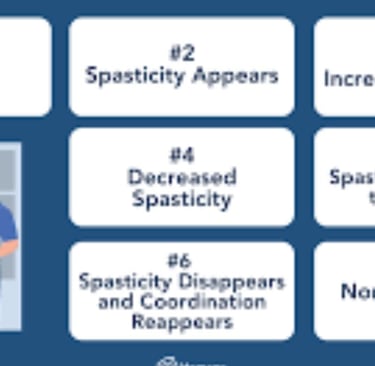 The 7 Stages Recovery and Rehabilitation stroke