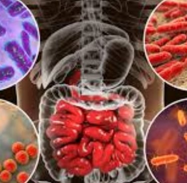 The Impact of Microbiome, Fasting, and Probiotics on Cancer (4)