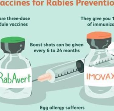 vaccination's