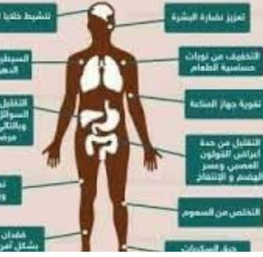 اليلات عمل اتلصيام