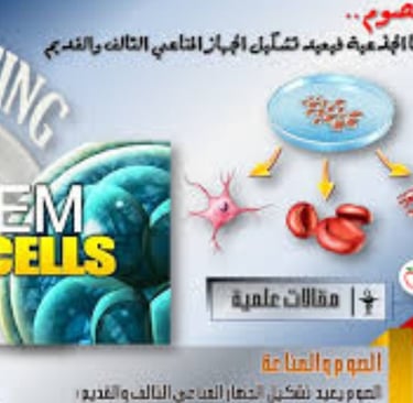 الخلايا الجذعية