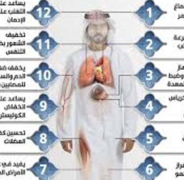 منافع الصيام