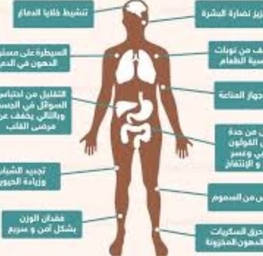 لا تعد ولا تحصى فوائد الصيام