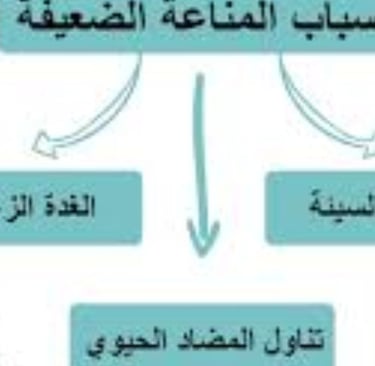 هل يمكن لعسل مانوكا إصلاح تلف الأعصاب؟