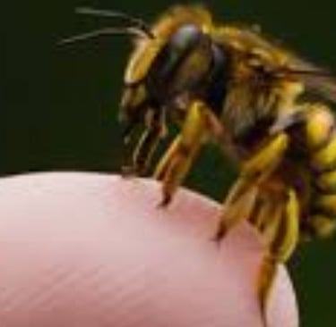Bee Stings Benefits