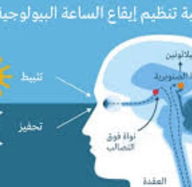 تثبيط وتحفيذ