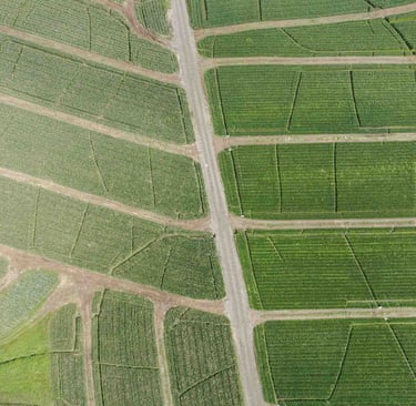 Foto de dron de campo agrícola en Ecuador