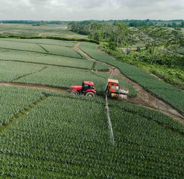 foto de dron de tractor fumigando plantación agrícola en ecuador