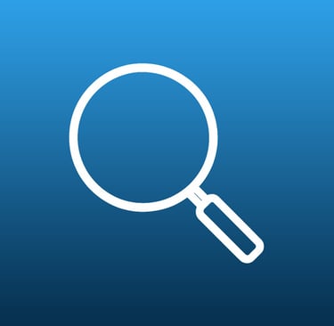 Momenta Consultancy - Adobe Zoom Tool - The Netherlands