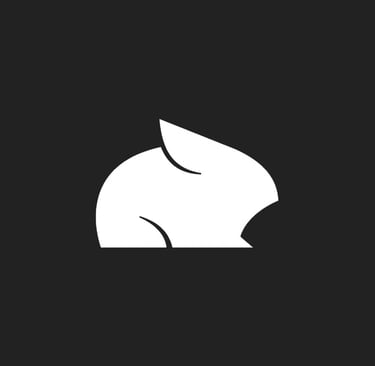 Momenta Consultancy - Pika Labs - Creatives