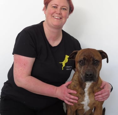 Karen Valu Veterinarian Physiotherapy Rehabilitation