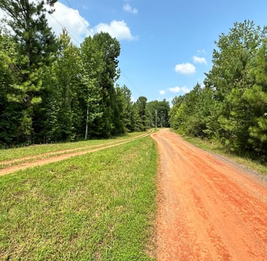 North Carolina dirt road