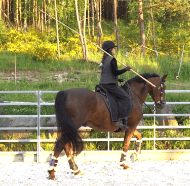 vzbavení pro working equitation