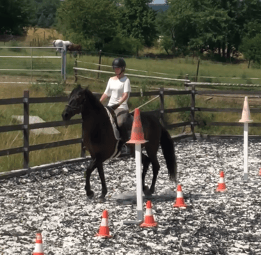 a person riding a horse in a fenced in area