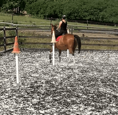 a woman riding a horse in a fenced in area
