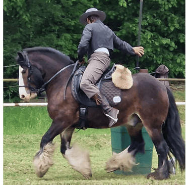 a man riding a horse in a field