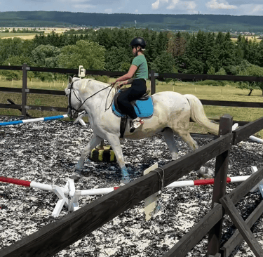 a woman riding a horse in a fenced in area