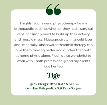 A testimonial from a specialist orthopaedic surgeon and previous colleague.