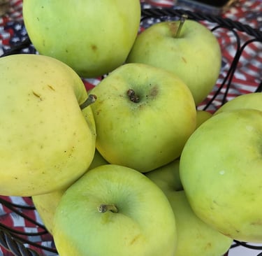 transparent apples