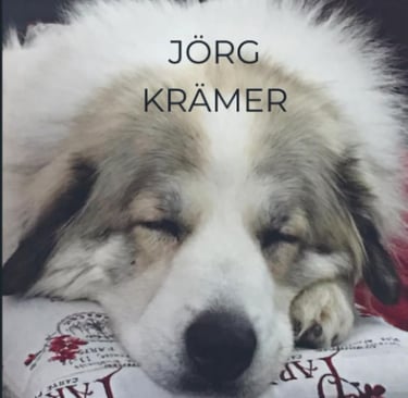 a dog is laying on a pillow on a couch