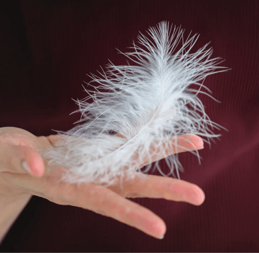 ThetaHealing mokymai - balta plunksna