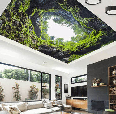 Spanndecke mit Natur-Motiv im Wohnzimmer